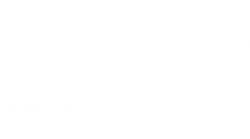 Harmony Nursery