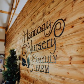 harmony-106